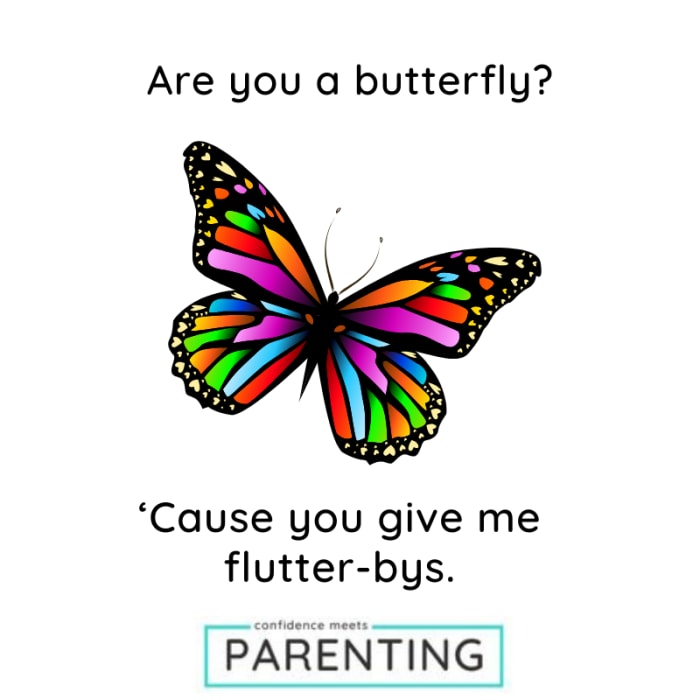 Butterfly Jokes and Puns Butterfly Jokes and Puns